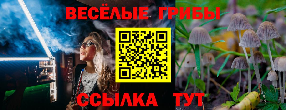 Галлюциногенные грибы Magic Shrooms Домодедово